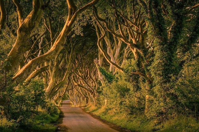 Giant Causeway, Dark Hedges & Whiskey Distillery tour from Dublin - Dunluce Castle: a five-minute taste of the coast
