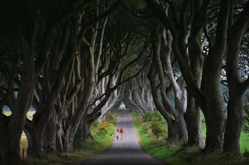 Giants causeway Irish castles & whiskey, Game of thrones - Bushmills and the story of Irish whiskey