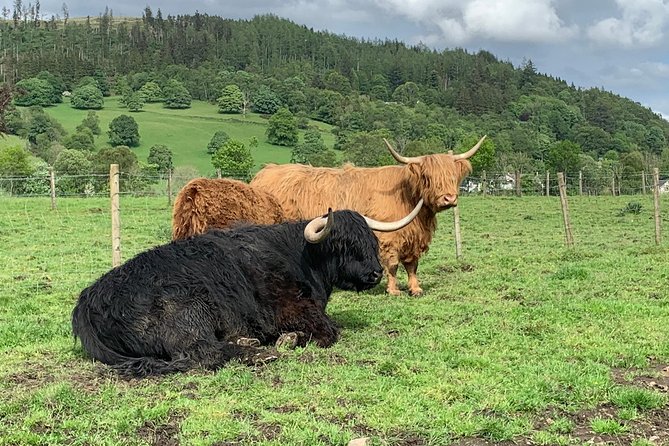 Glencoe, Central Highlands, Rob Roy, Whisky, Private Tour - Why this private Edinburgh tour works well
