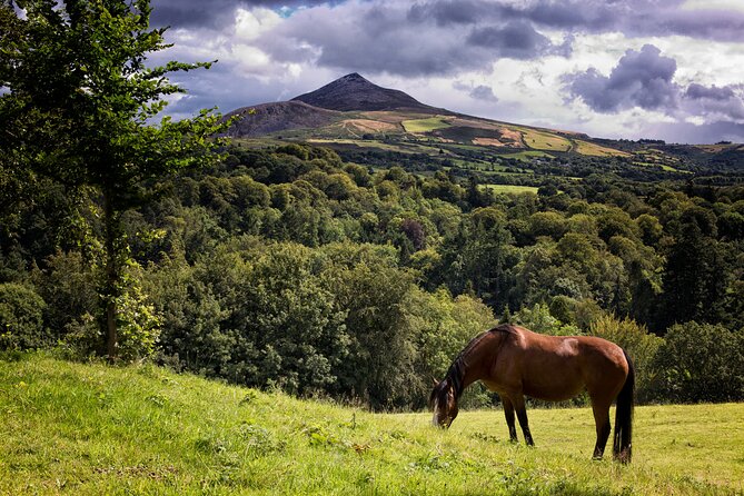 Glendalough and Powerscourt Distillery Ireland Whiskey Tour - The private vehicle and guide make the difference