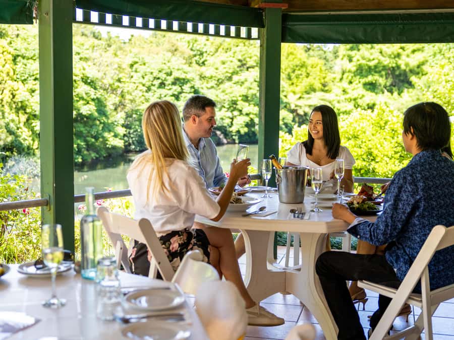 Gold Coast: Premium Wine Tour with Gourmet Lunch - What $211 buys you