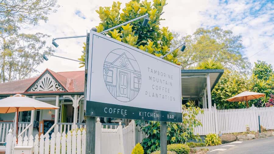 Gold Coast: Wine, Distillery & Rainforest Day Tour - Key points at a glance