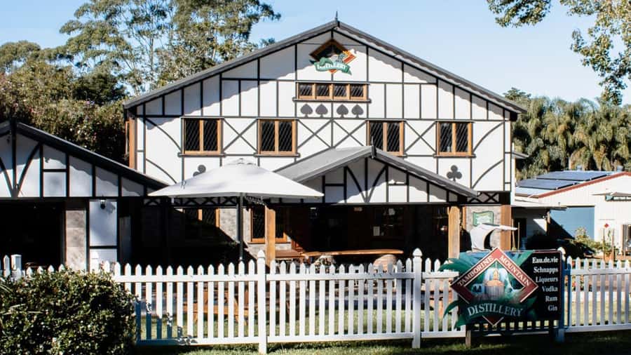 Gold Coast: Wine, Distillery & Rainforest Day Tour - Lunch, wine, and a mountaintop setting