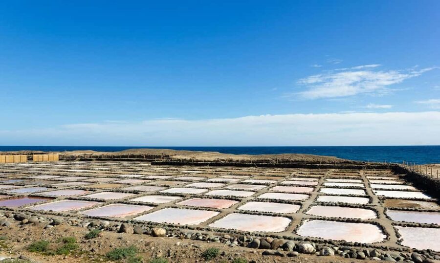 Gran Canaria: Food Tour with Distillery Visit & Lunch - Key details that make this tour worthwhile