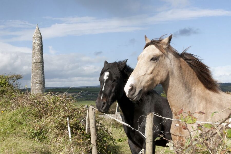 Ireland: Blarney Castle, Kilkenny & Irish Whiskey 3-Day Tour - What the $788 price really gives you