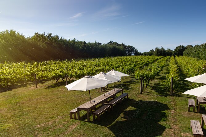 Jersey Premium Vineyard and Distillery Wine Tour and Tasting - How the private format affects the visit