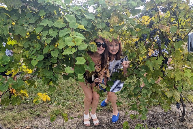 Kansas City Brewery, Winery, and Distillery Tour - The winery stop brings a personal touch