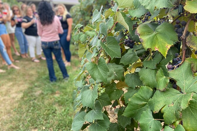 Kansas City Brewery, Winery, and Distillery Tour - The distillery stop and a memorable anniversary moment