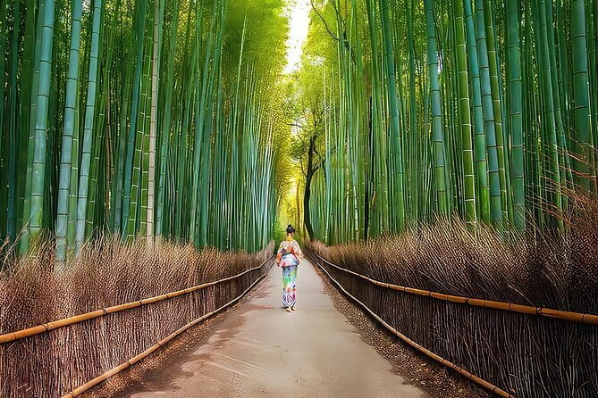 Kyoto 1 Day Suntory Yamazaki Distillery Tour and Asahi Art Museum - Lunch and the five-hour schedule