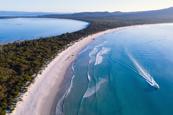 LARK Distillery Tour - Booking ahead and cancellation rules