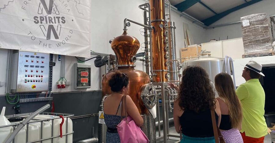 Madeira: Distilleries - Key points to know before you book