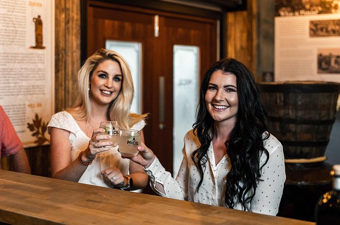 Micil Distillery Experience 2 - Gin, Poitín and Whiskey - What the tastings add to the visit