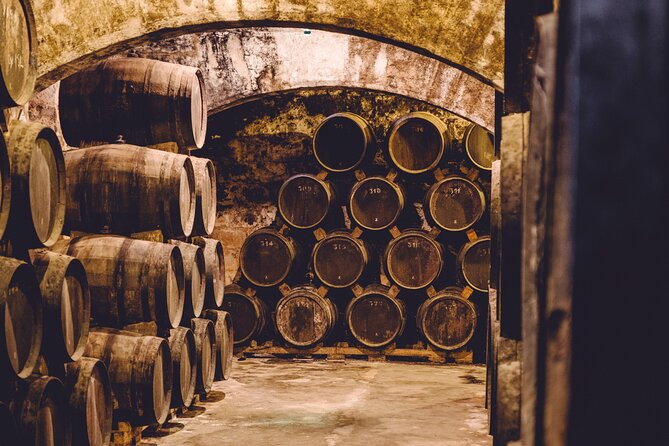 Palma Distillery Tour with 3 Spirits and Gourmet Tapas Tasting - Key points to know before booking