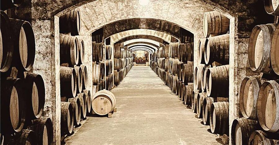 Palma: Distillery Tour with 6 Spirits and Tapas Tasting - Walking through the 170-year-old underground cellar