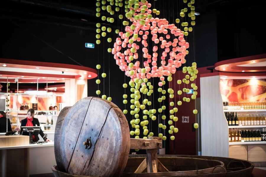 Pont-l'Évêque: DISTILLERIE PERE MAGLOIRE Entry with Tastings - Key points to know before you go