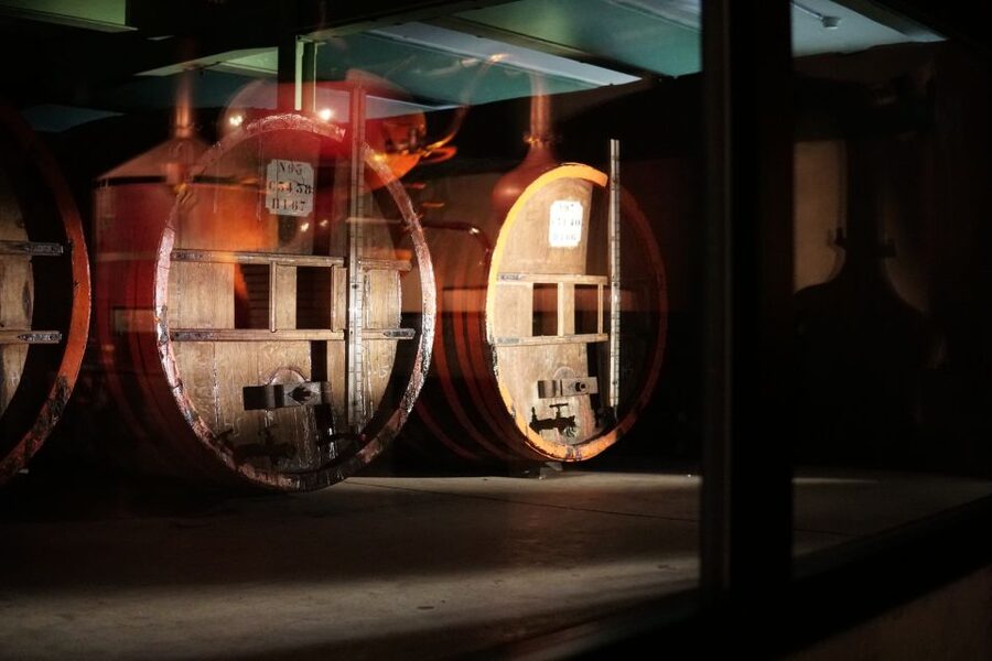 Pont-l'Évêque: DISTILLERIE PERE MAGLOIRE Entry with Tastings - Who will get the most from the $22 price?