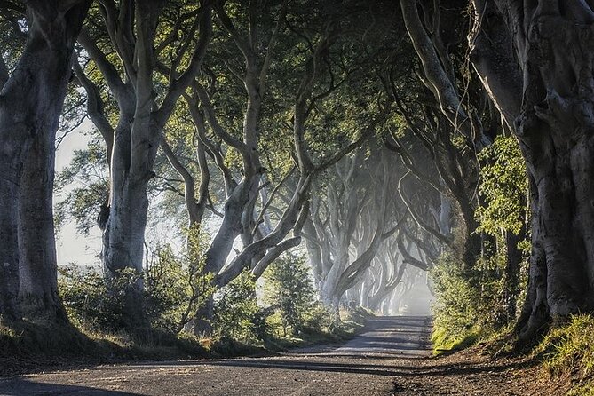 Private Tour - Causeway, Castles & Whiskey Tour - Game of Thrones - Why a private Belfast day trip can work so well