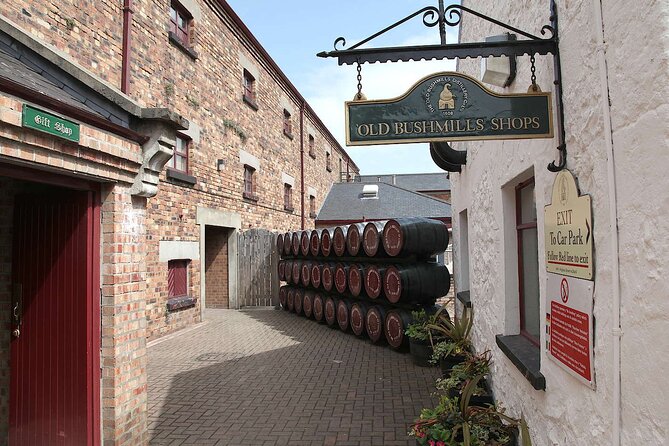 Private Tour - Causeway, Castles & Whiskey Tour - Game of Thrones - The Dark Hedges turns a country lane into a film location