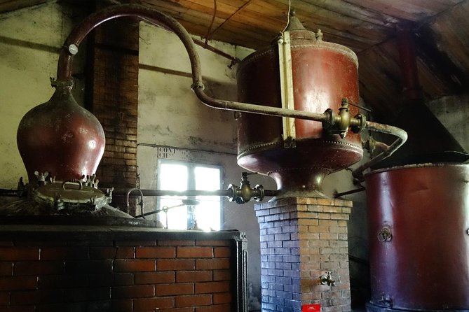 Private tour from Cognac - Cognac Distillery & Bordeaux Winery with a workshop - Lunch between wine and Cognac