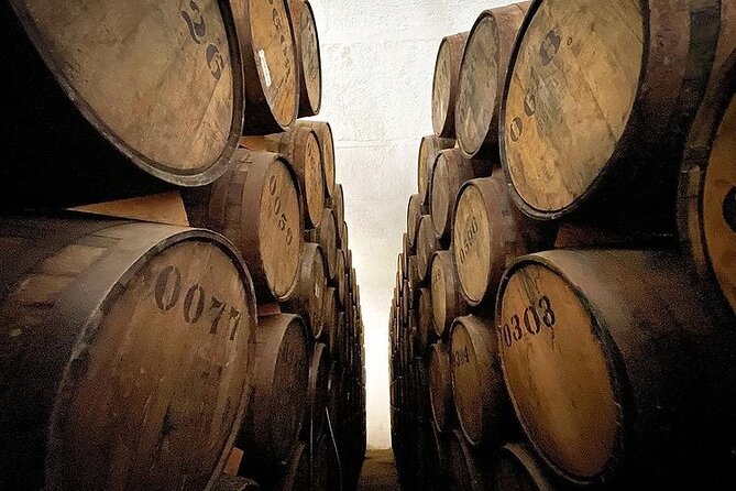 Private Tour one day in Guachimontones and La Fortaleza Distillery - Cantaritos El Güero de Amatitán