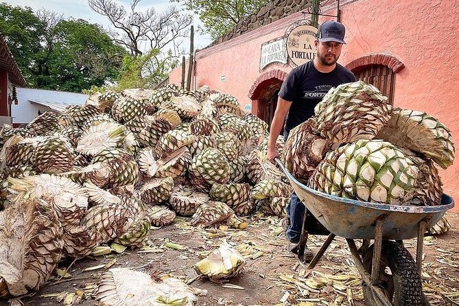 Private Tour one day in Guachimontones and La Fortaleza Distillery - The guide can shape the whole day