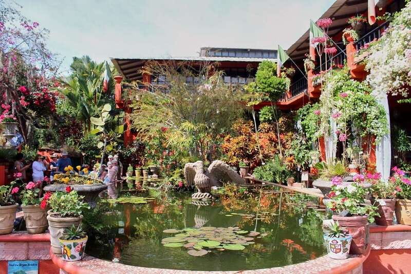 Puerto Vallarta: Botanical Gardens, Distillery & Coffee Tour - Key details to know before booking
