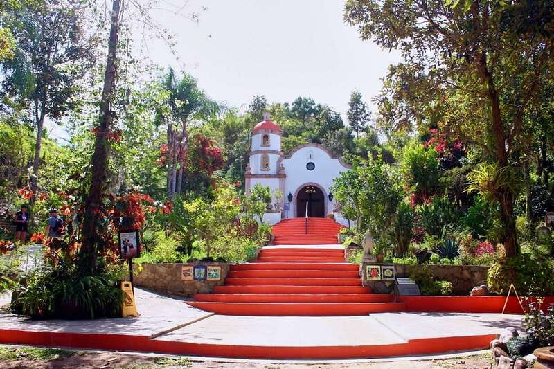 Puerto Vallarta: Botanical Gardens, Distillery & Coffee Tour - The trail is more than a gentle stroll