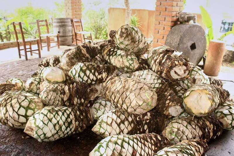 Puerto Vallarta: Botanical Gardens, Distillery & Coffee Tour - Learning how tequila is made