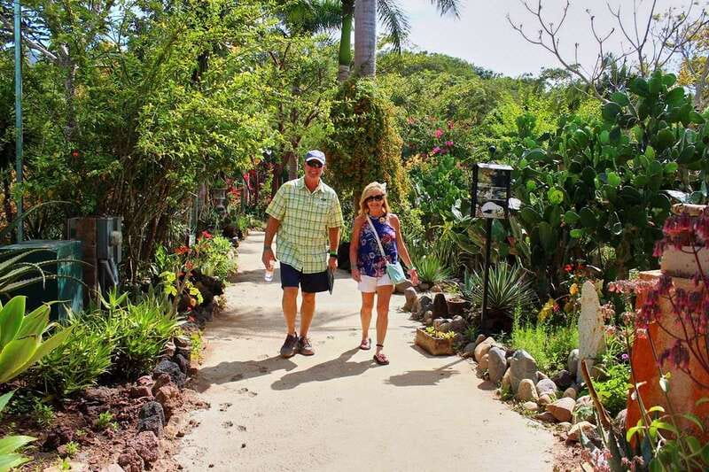 Puerto Vallarta: Botanical Gardens, Distillery & Coffee Tour - A brief look at regional coffee production