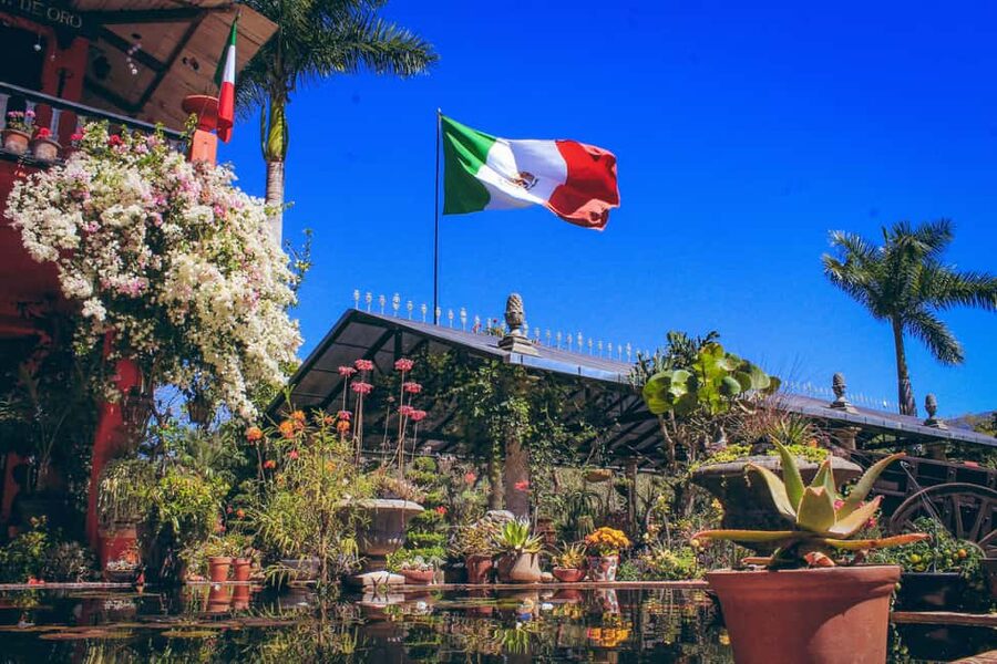 Puerto Vallarta: Botanical Gardens, Distillery & Coffee Tour - Guides make the difference