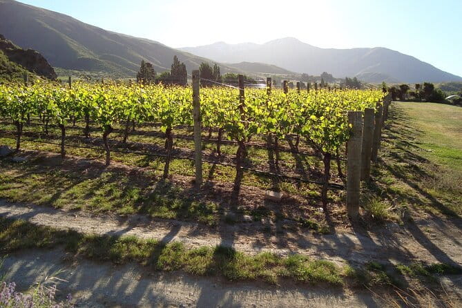 Queenstown Gin and Whiskey tours - Who will enjoy this most?