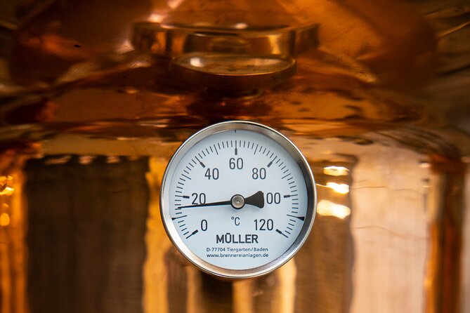 Rebel City Distillery Tour - What happens during the one-hour visit