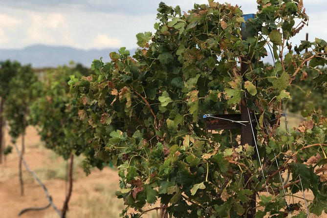Scenic Desert Wine Distillery Brewery Route 66 Tour - What the $159 price really buys you