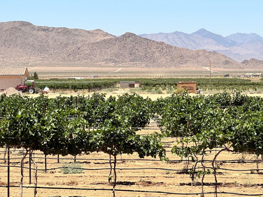 Scenic Desert Wine, Distillery Tastings/Brewery/RT66 & Lunch - Route 66 and the Desert Between Stops