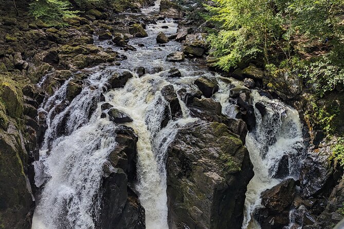 Scone Palace, Nature, Pitlochry, Whisky Experience from Glasgow - Why this private Glasgow day works
