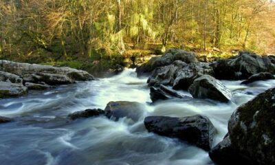 Scotland’s Glens, Highlands & Whisky Day Trip from Edinburgh