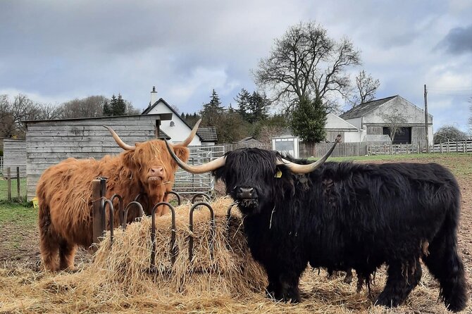 Scottish Whisky Distillery & Fairytale Dunrobin Castle - Why this route works from Invergordon