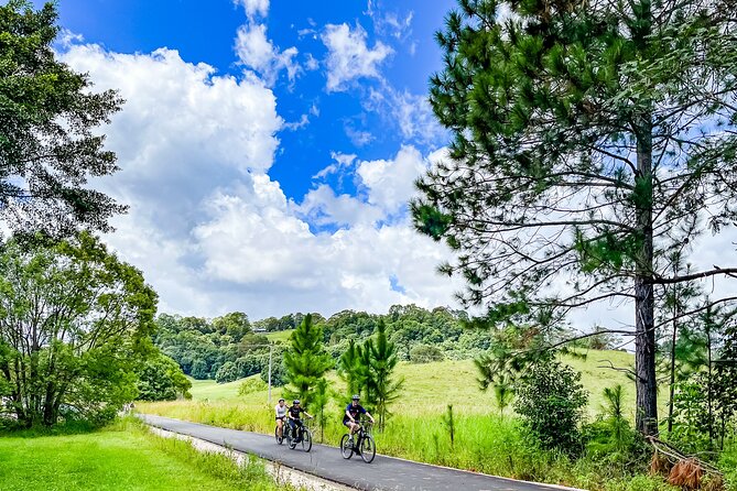 Self Guide E Bike Tour - Husk Distillery, Rainforest & Rail Trail - Starting at Moo Moo Roadhouse in Mooball