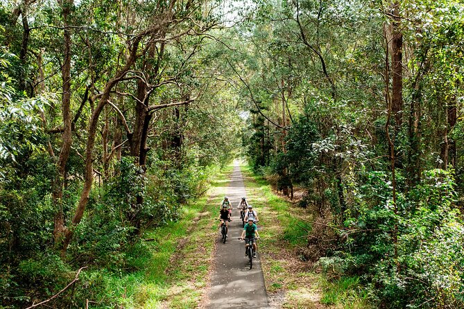 Self Guide E Bike Tour - Husk Distillery, Rainforest & Rail Trail - Riding through Burringbar Tunnel