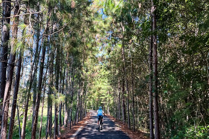 Self Guide E Bike Tour - Husk Distillery, Rainforest & Rail Trail - Dunbible Creek and the old railway bridge