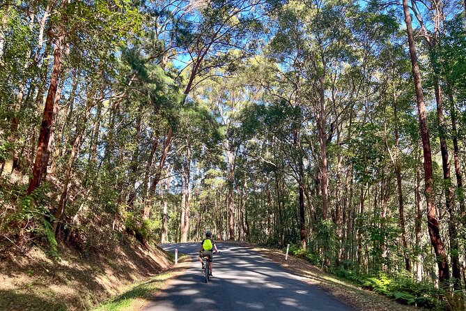 Self Guide E Bike Tour - Husk Distillery, Rainforest & Rail Trail - The Tweed Regional Gallery and Margaret Olley Art Centre