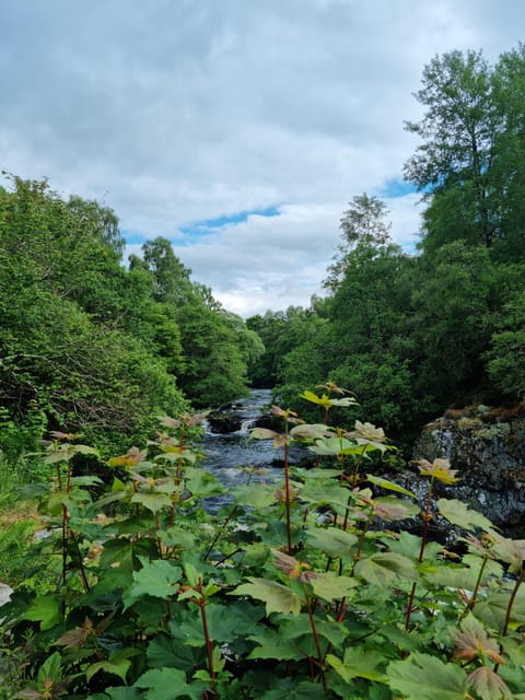 Shore excursion from Invergordon - Castles, Scenery & Whisky - Does the $902 price make sense?