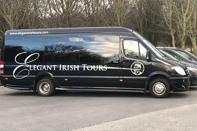 (Small Group) Shore Tour from Cork: Blarney Castle & Jameson Distillery - Group Size, Vehicles, and the Biggest Risk