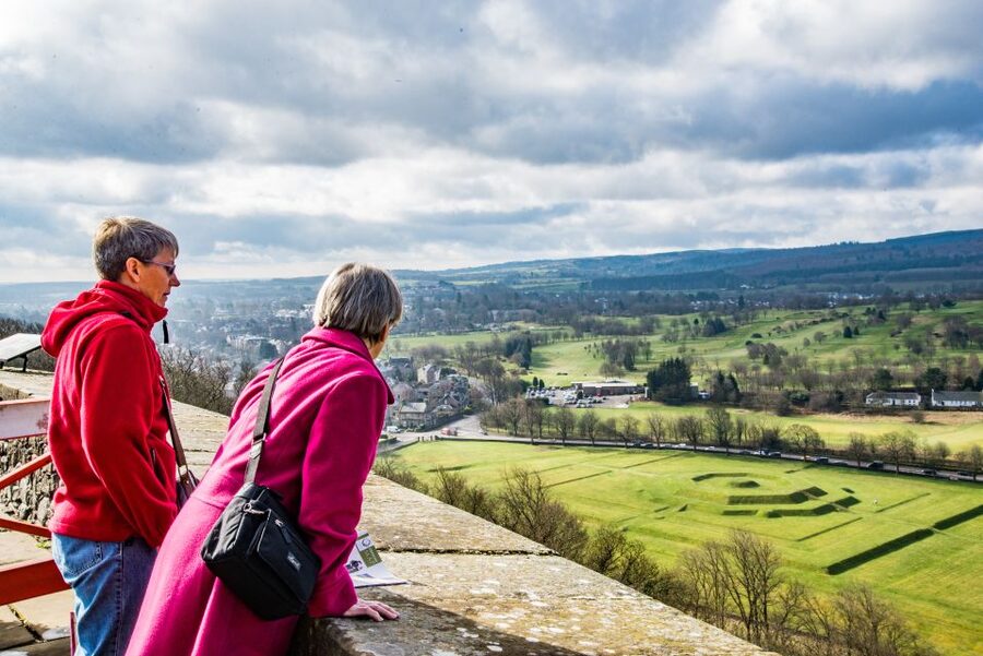 Stirling Castle, Highland Lochs & Whisky Tour from Edinburgh - Highland cows on the road to Loch Lomond