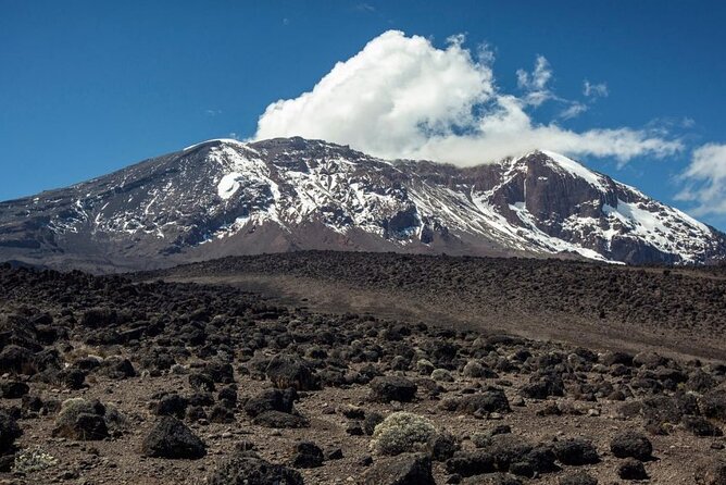 The best 6-Days Kilimanjaro hiking (Machame route)whiskey route - Day 3: Climb high, then sleep lower in Barranco