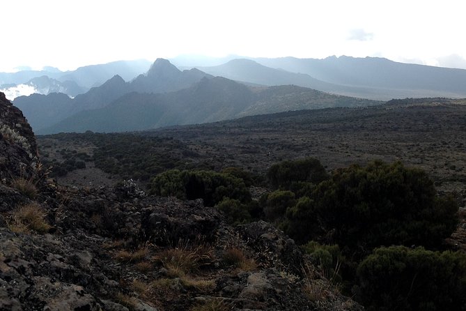 The best 6-Days Kilimanjaro hiking (Machame route)whiskey route - Day 6: Descent through the forest to Mweka Gate