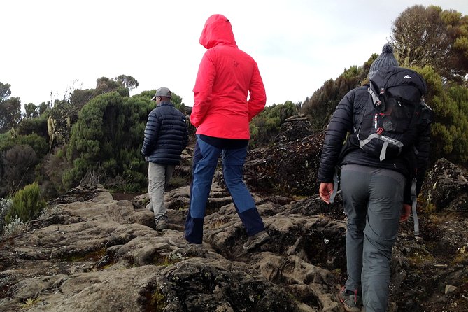 The best 6-Days Kilimanjaro hiking (Machame route)whiskey route - Day 1: From Machame Gate into the forest