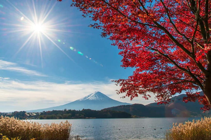 Tokyo: Mt. Fuji 5th St. & Hakushu Distillery Whisky Museum - Key points to know before booking