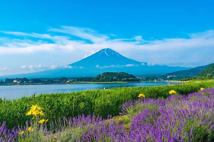 Tokyo: Mt. Fuji 5th St. & Hakushu Distillery Whisky Museum - Who will get the most from this tour