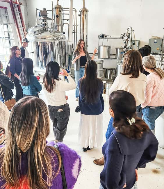 Toronto: Nickel 9 Distillery Tour and Tasting - Tasting Northern Temple Vodka and Hidden Temple Gin
